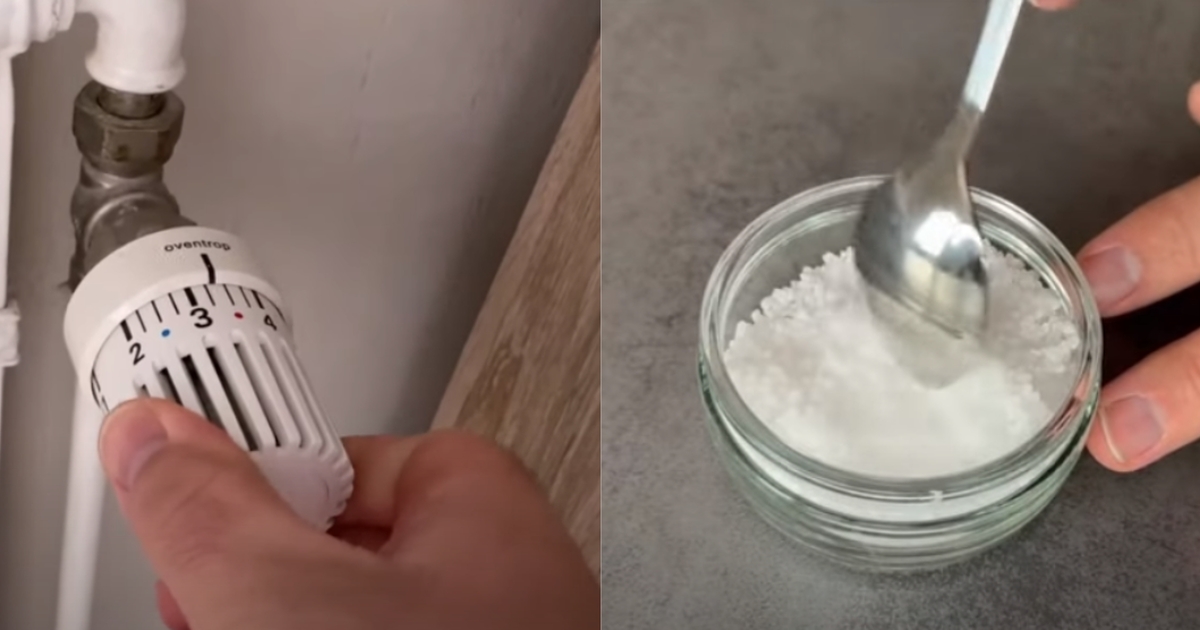 Nogen burde få en guldmedalje for ‘nyt’ genialt trick. Derfor skal du sætte en skål med salt på radiatoren om vinteren