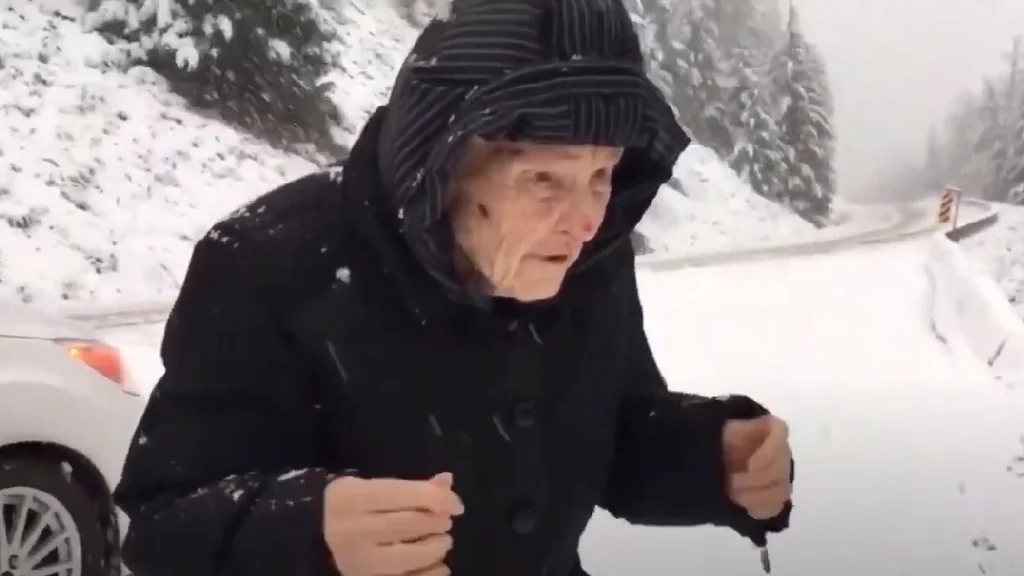 101-årig kvinde beder sønnen om at holde ind til siden: Når du ser hvorfor, vil du ikke kunne undgå at smile