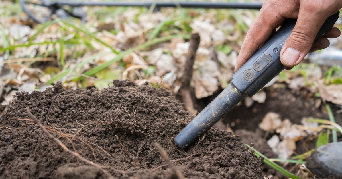 Par finder tog på tur med metaldetektor: Gjorde sensationelt fund til over 2,6 millioner kroner