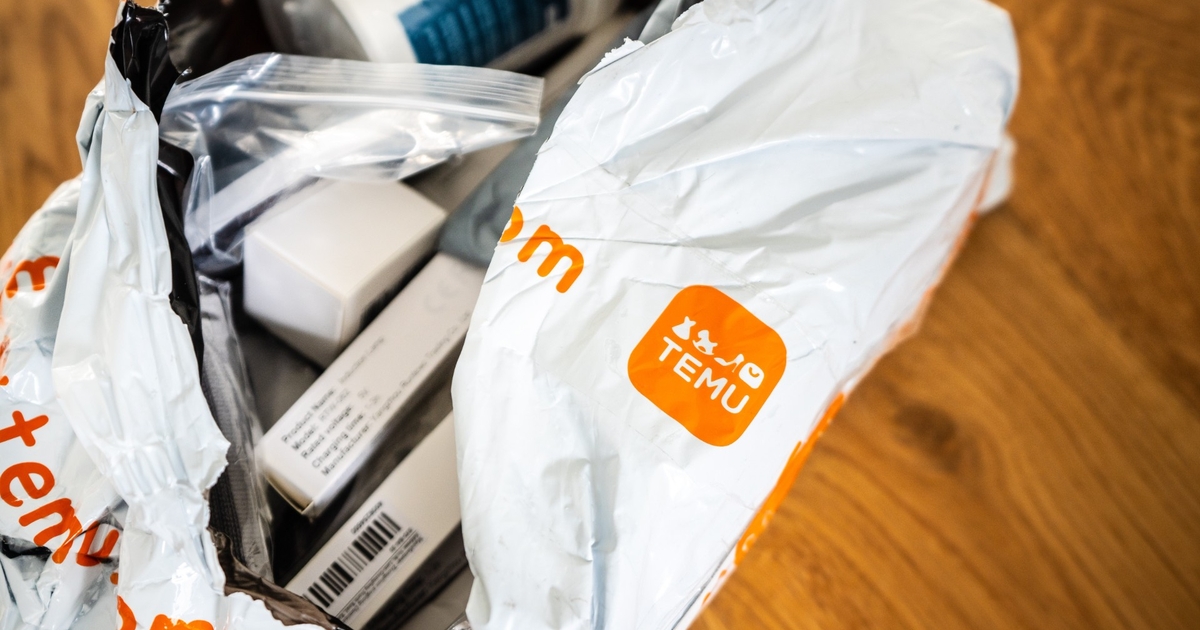 Kvinde troede, hun købte en flot taske på Temu – vent og se, hvad der kom med posten