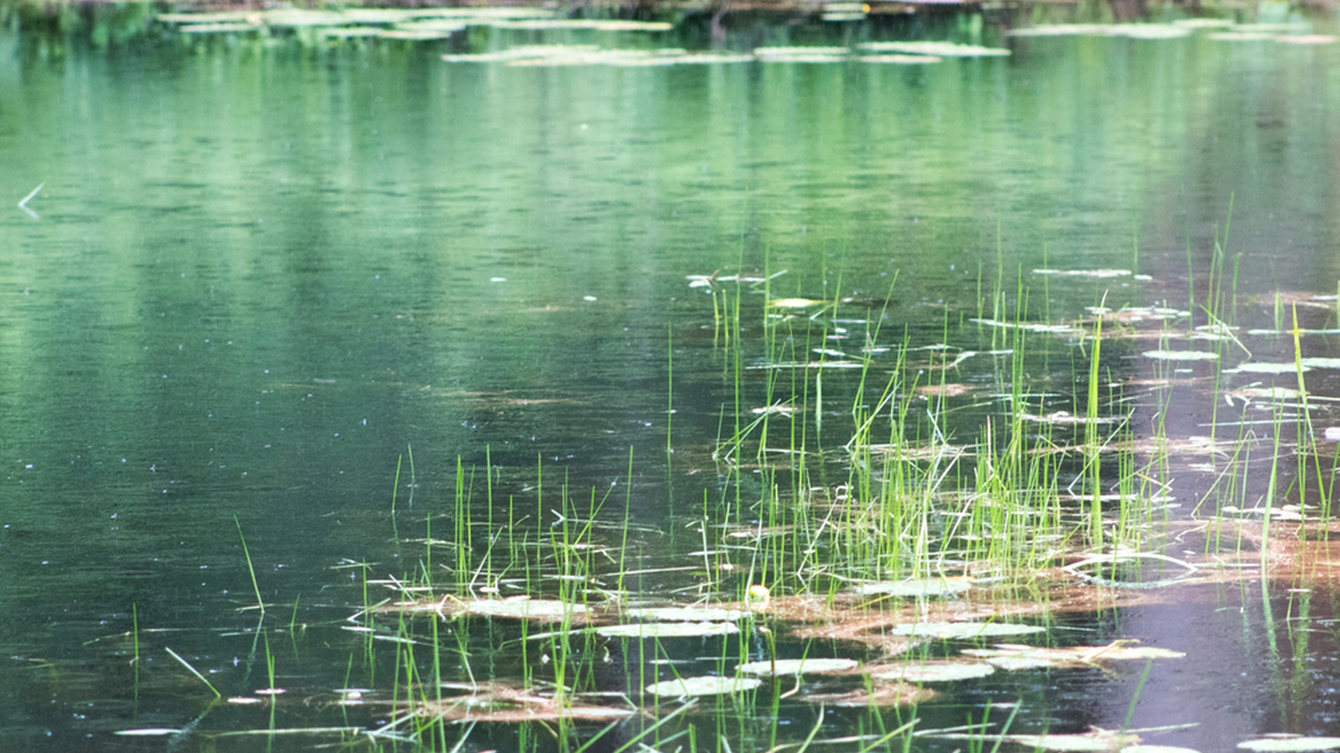 Rotur i smuk naturpark endte tragisk: Kvinde havde ikke en chance