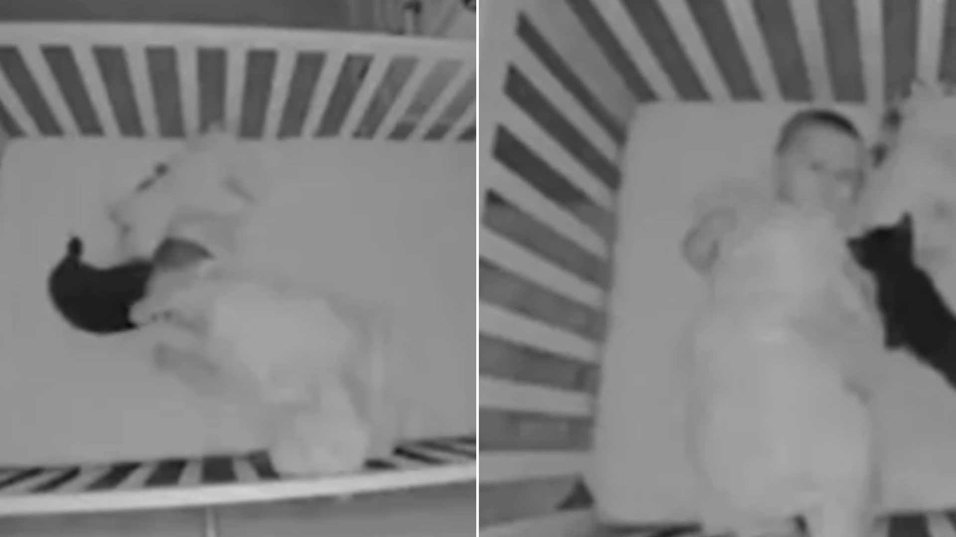 Babykamera fanger bevægelse i sengen: Mor får et chok over at opdage, hvem der er i tremmesengen