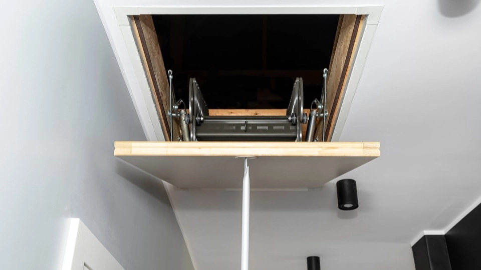 Mand tjekker loftet i sit nye hus – det første han så, fik hårene til at rejse sig