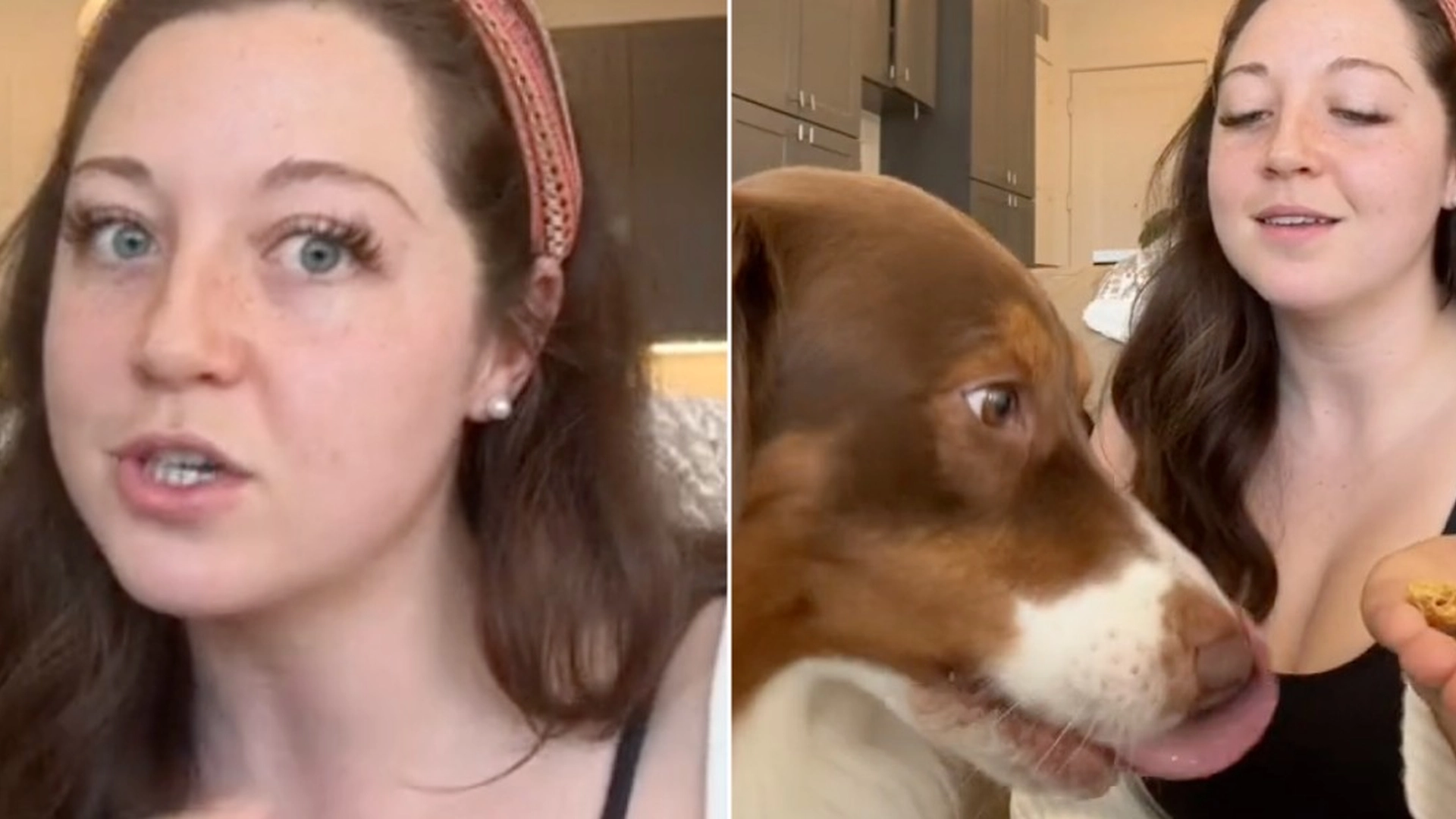Hundetræner deler enkelt tip: Sådan får du din hund til at stoppe med at gø af andre dyr