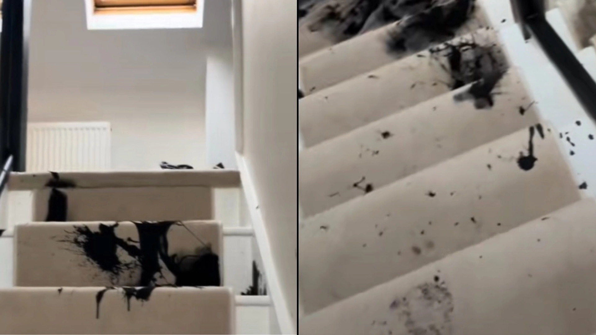 Kvinde vågner til et ‘stort brag’ midt om natten – var ikke forberedt på, hvad hun ville finde