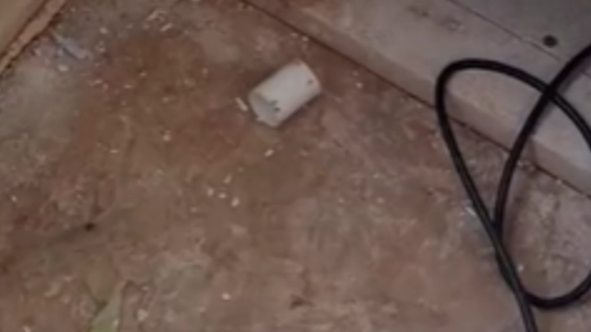 Bygmesteren arbejdede på et badeværelsesprojekt: Hvad han fandt i væggen, fik ham til at løbe for livet