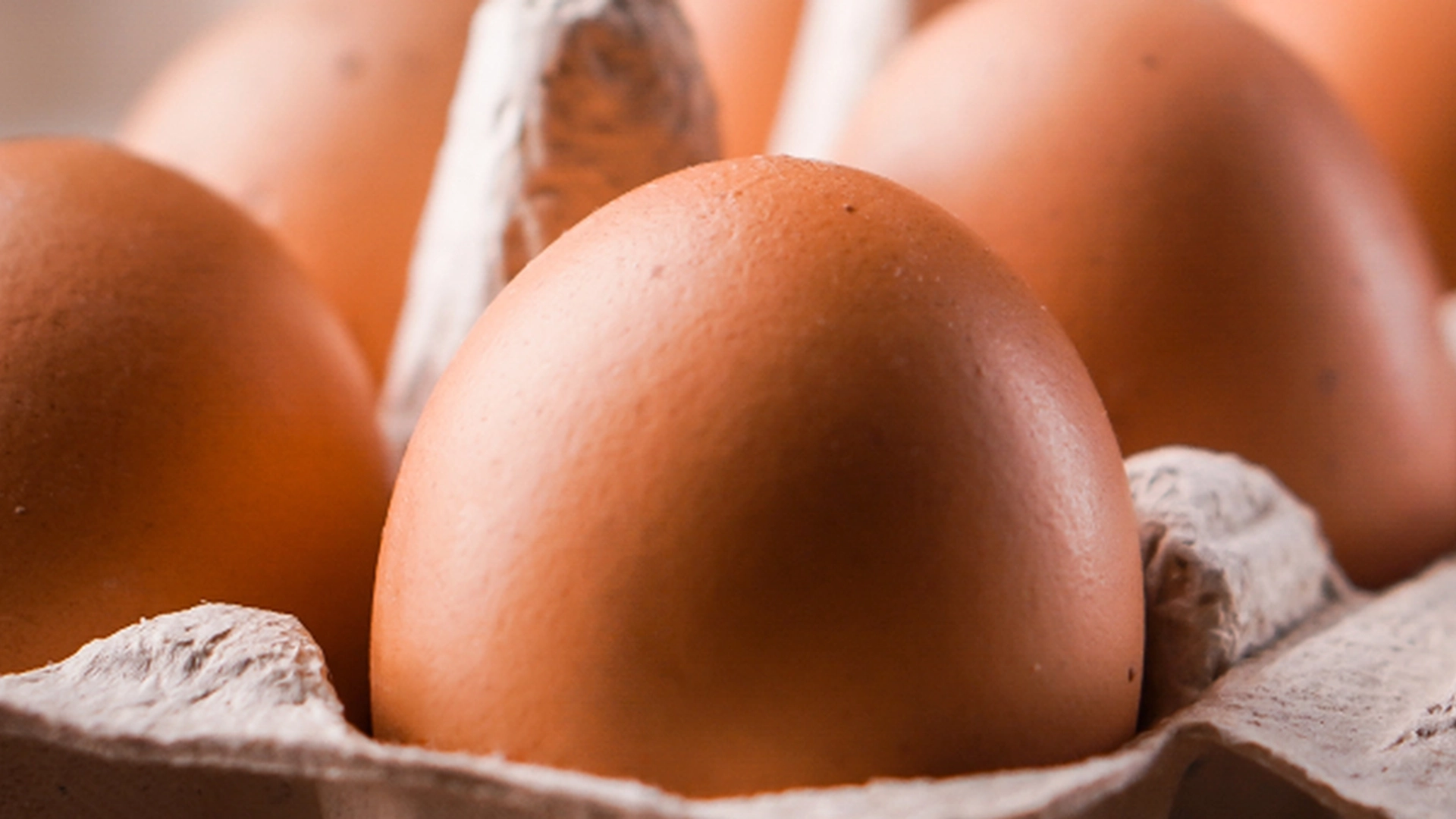 Æg har aldrig været dyrere at købe – og det skyldes især én ting