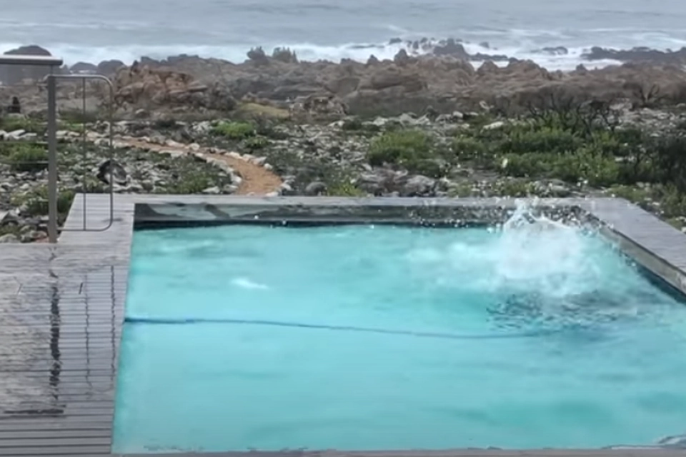 Mand arbejdede hjemme og fik uventet besøg: Hans optagelser fået hele internettet til at grine