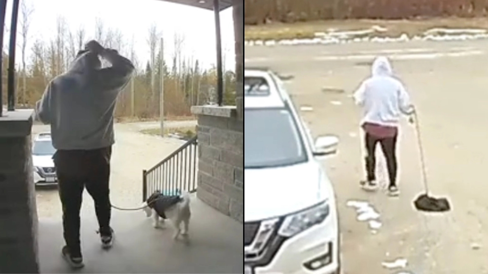 Lod sin bror lufte hunden ‘én gang’ – men så kiggede han sit overvågningskamera
