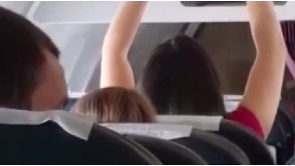 Flypassagerer raser over kvinde: Fik et chok, da de så, hvad hun gjorde på flyet