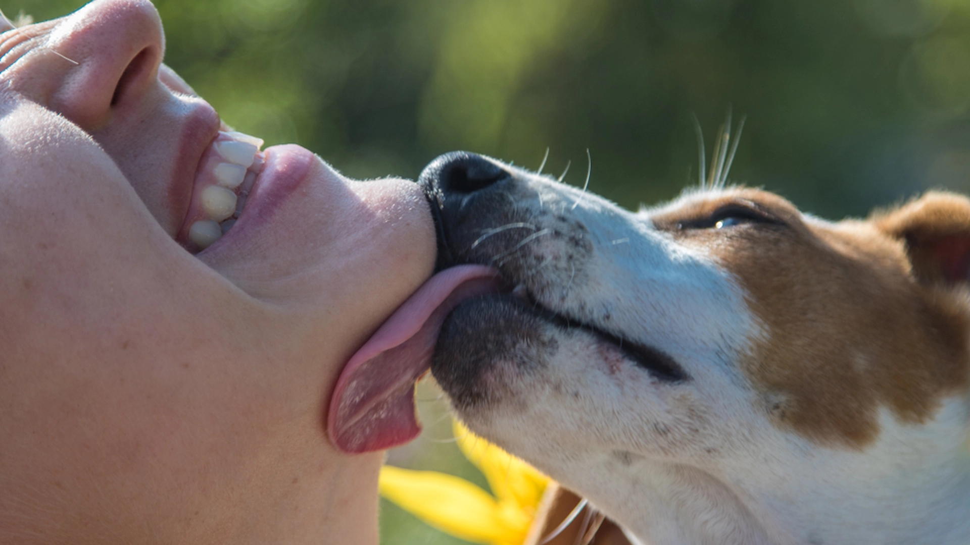 Sådan viser du din hund, at du elsker den