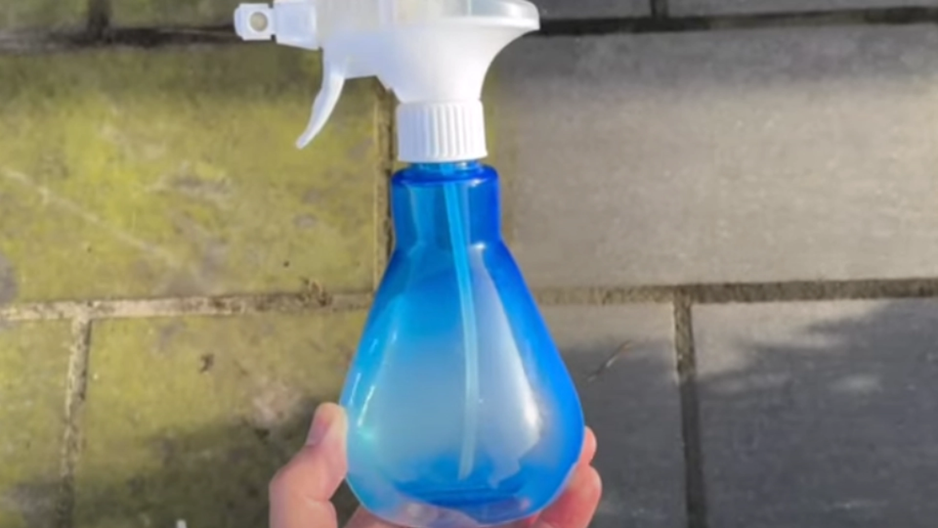 Sommerens bedste trick mod alger på fliser: Du har den hemmelige ingrediens i dit skab