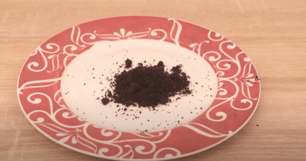 Drys lidt kaffegrums på tallerkenen og stil det i vindueskarmen: Med et snuptag løser du velkendt problem