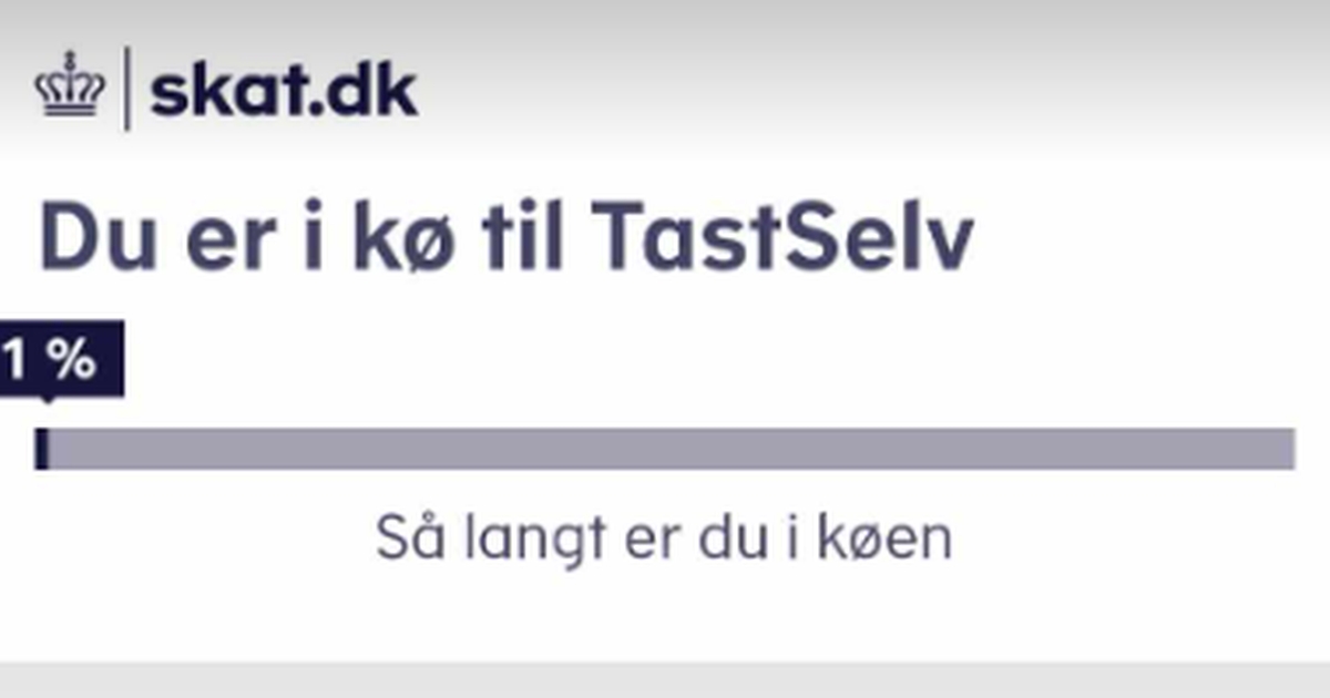 Skattestyrelsen afslører datoerne: Her åbner årsopgørelsen og her får man udbetalt sine penge
