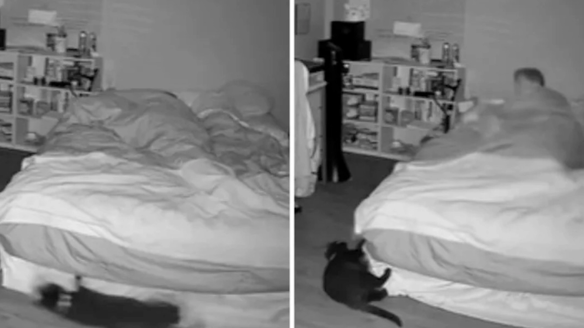 Kvinde troede, hun fangede en ‘besat dæmon’ på kamera kl. 02 om natten: Så indså hun, hvad det egentlig var