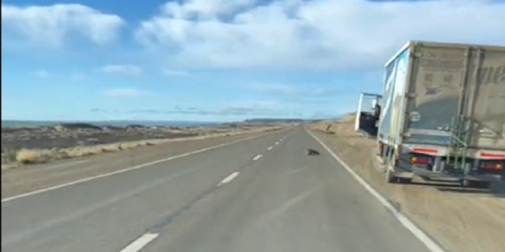 Mand så lastbilchauffør holde ind til siden: Så opdager han den chokerende sandhed
