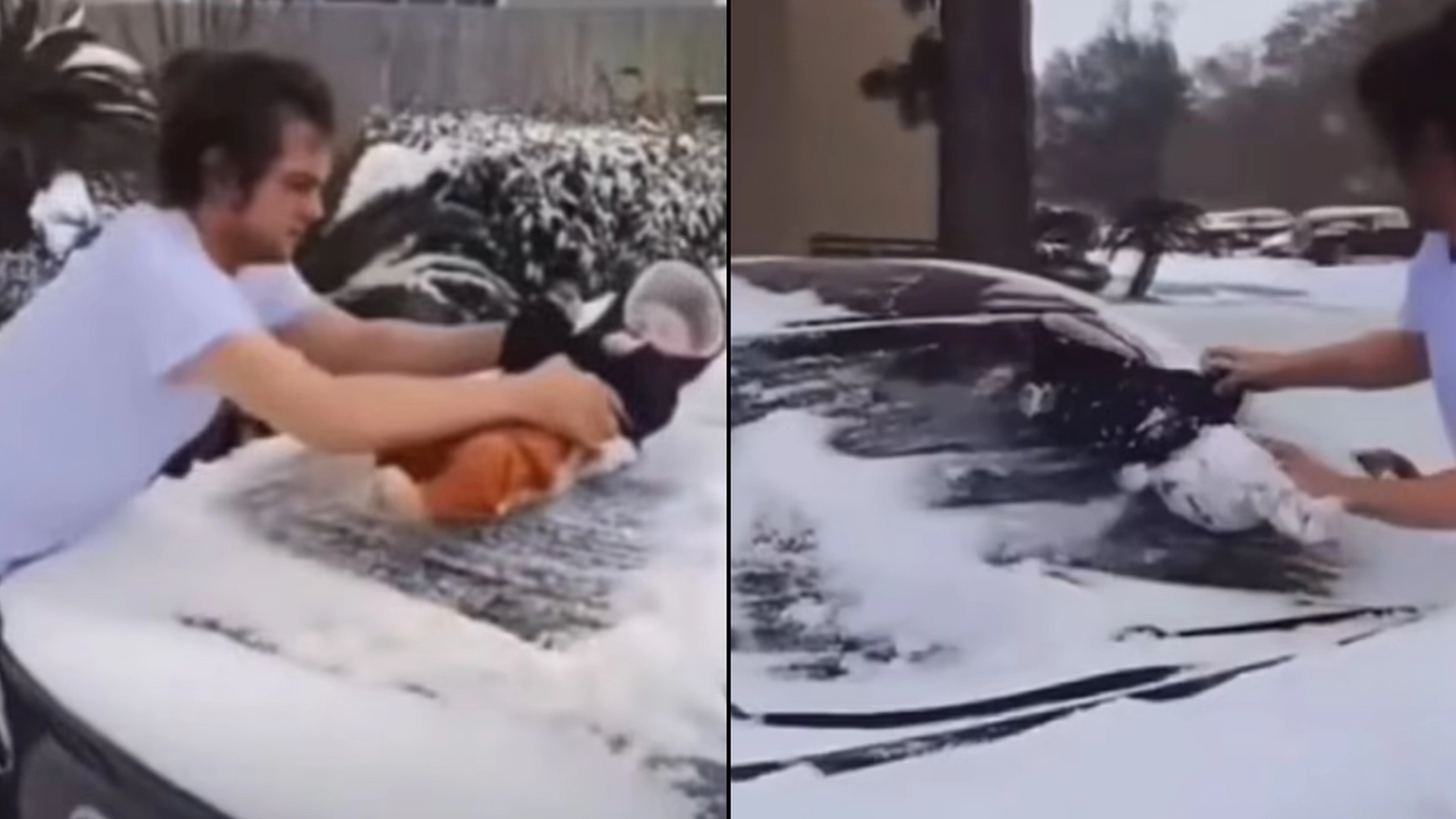 Far brugte sin 3 måneder gammel baby til at fjerne sne fra bil: Nu bliver det efterforsket af politiet