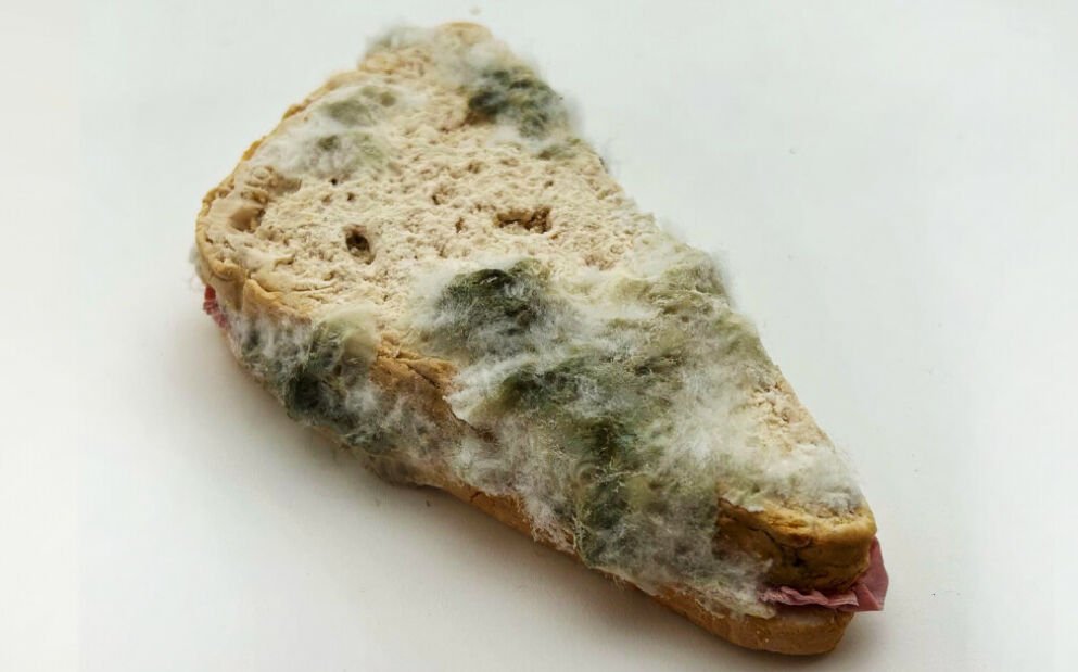 ‘Muggen sandwich’ får internettet til koge: Kan du se hvorfor?