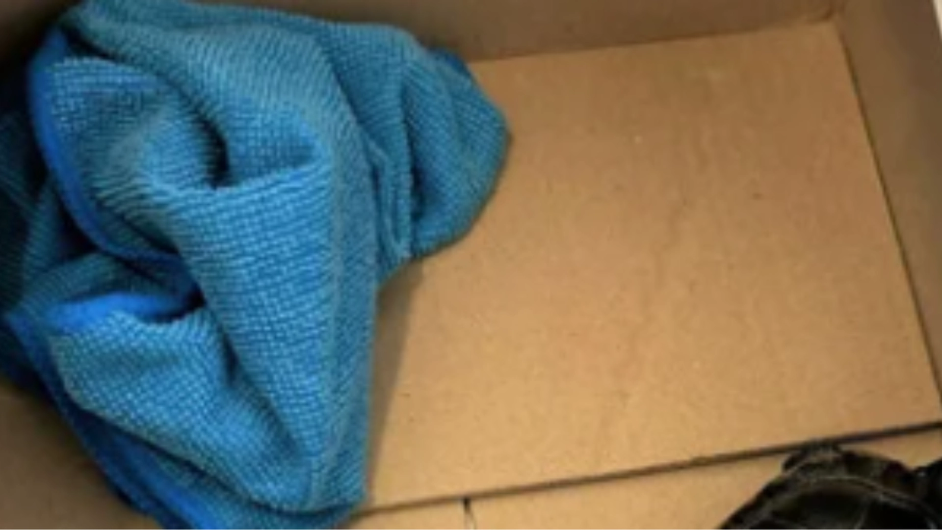 Sikkerhedspersonale i lufthavn gjorde chokerende fund i passagers bukser: Pludselig begyndte noget at kravle