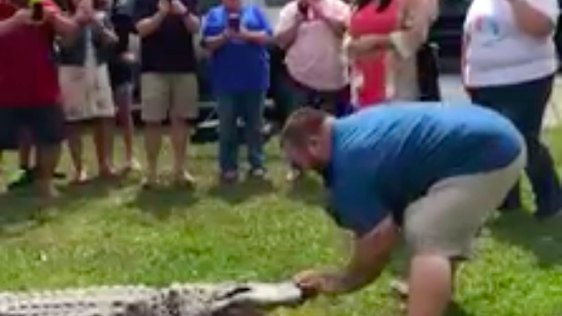 Vild kønsafsløring: Familie bruger kæmpe alligator og det ender ikke som håbet