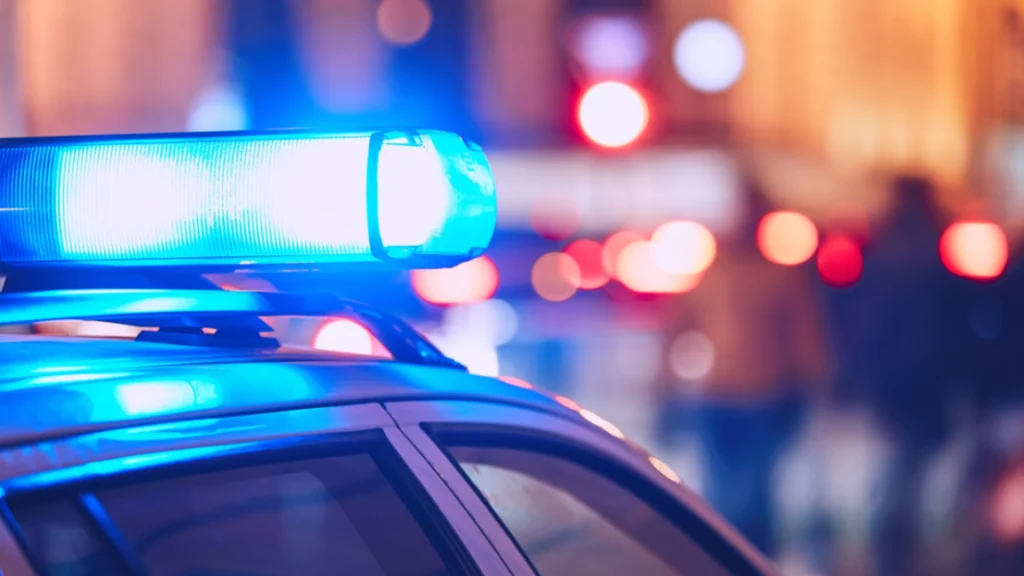 9-årig blev med at stjæle fra naboens tomatplante: Så opdager naboen den chokerende sandhed