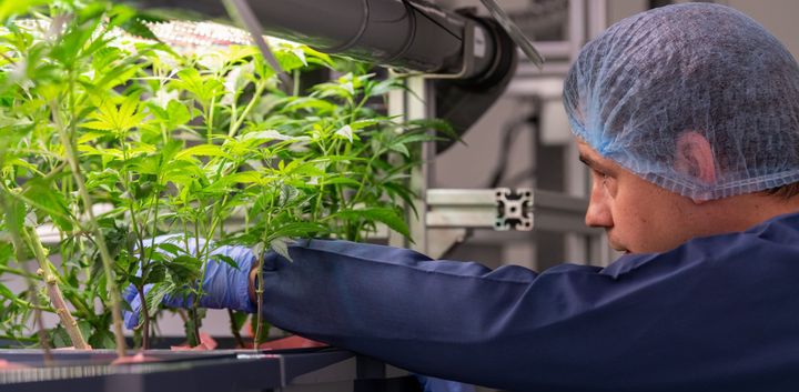 Dette bliver en gamechanger for hele Europa: Nu legaliseres det