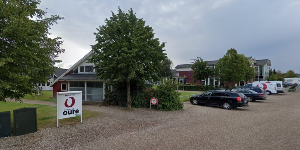 Efterskole bortviser to elever for mobning og racisme