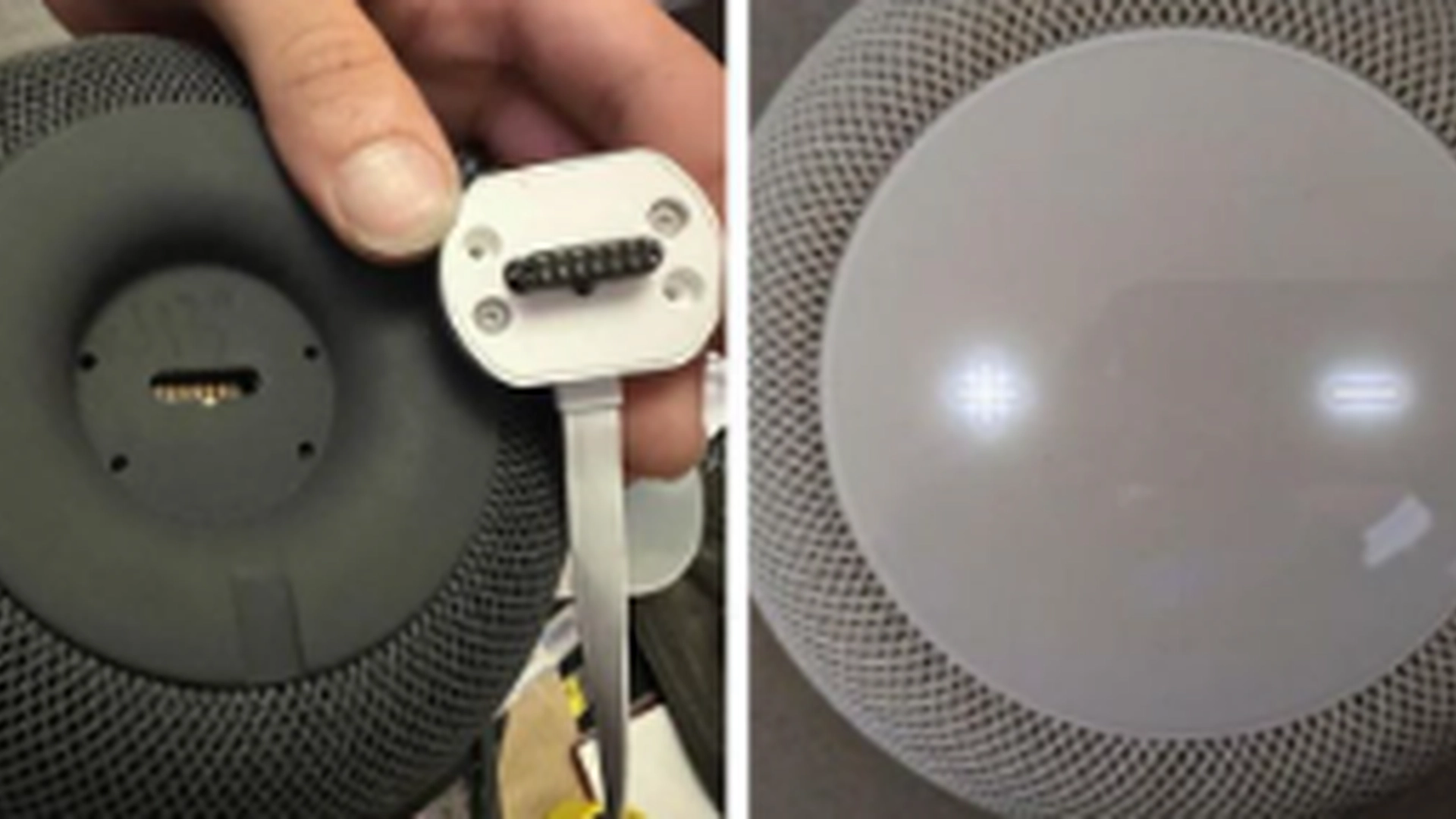 ‘Det, Apple gør, burde være ulovligt.’