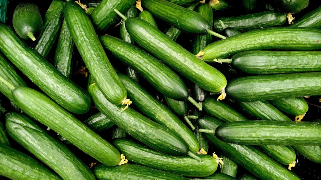 Er det sundt at spise agurker hver dag? Her er svaret