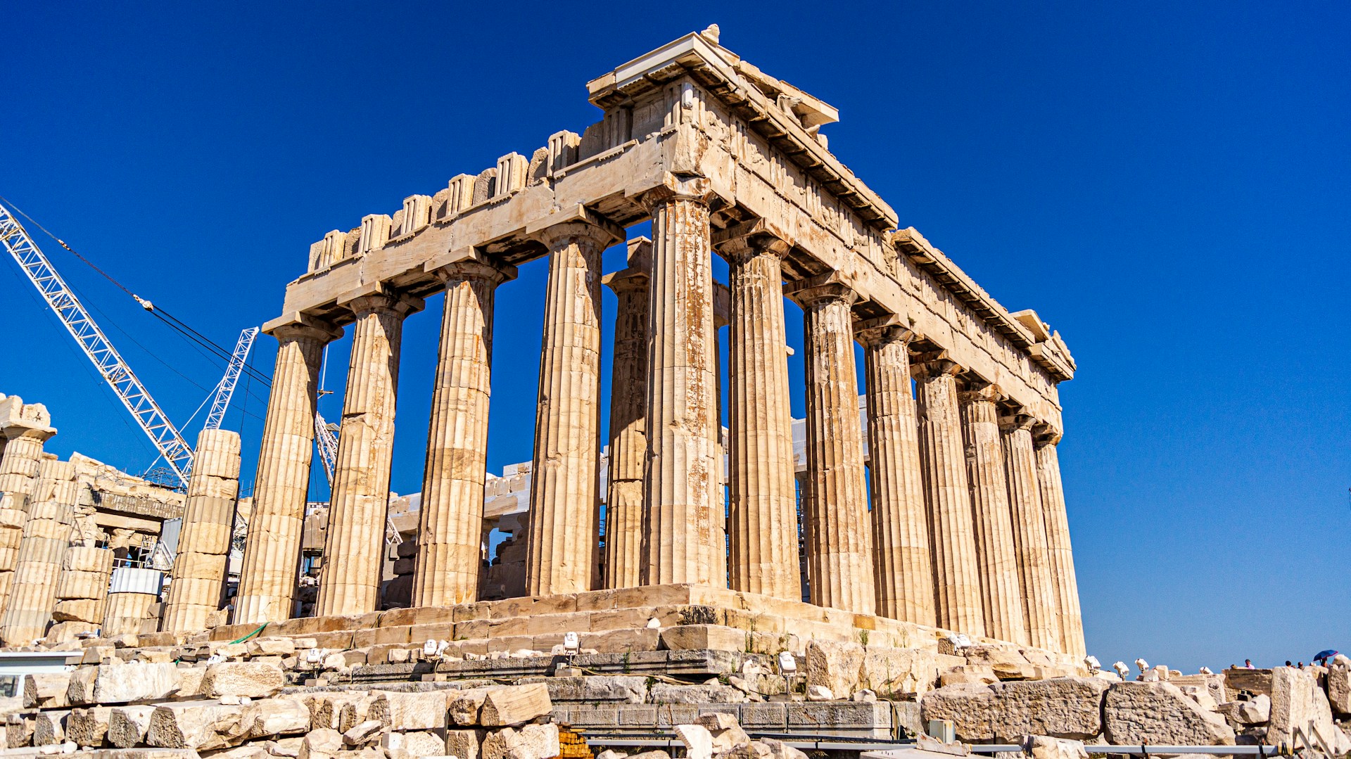 Blomsten der kun vokser på Akropolis – og ingen andre steder i verden