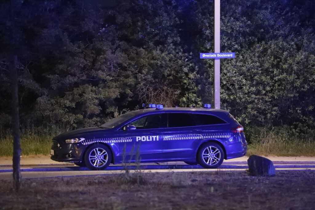 18-årig kvinde anholdt: Ville sælge dette