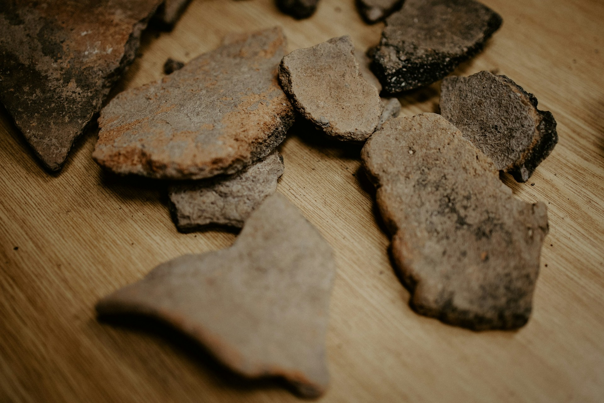Et 132 millioner år gammelt fossil viste sig at være noget helt andet
