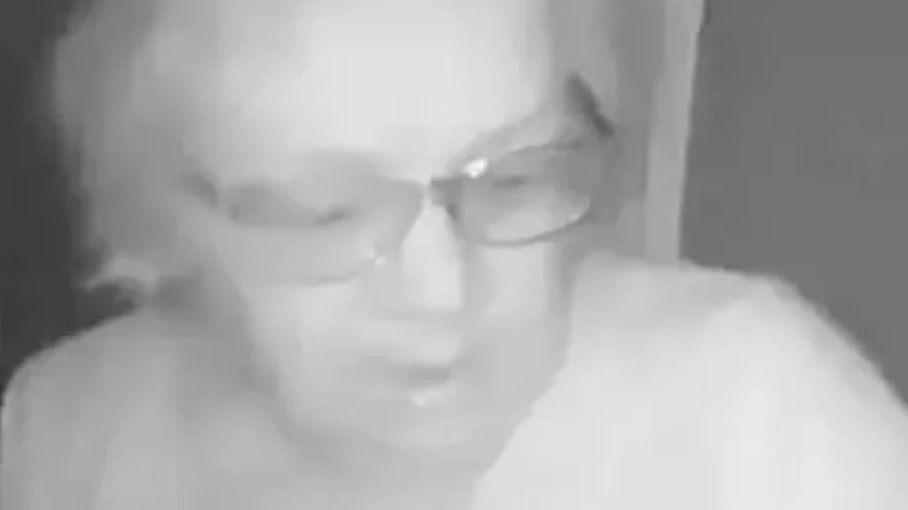 En ældre dame lader sin hund gå ud for at tisse: Da hun ser hvad der gemmer sig rundt om hjørnet, skriger hun og løber