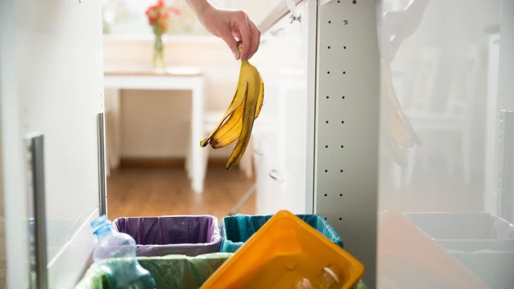 Smid dem ikke i skrældespanden: Derfor bør du altid lægge dine bananskræller i fryseren