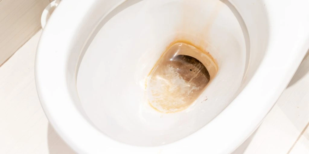 Kast det i toilettet – Det fjerner al snavs på fem minutter