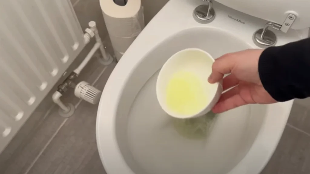 Han bruger denne blanding i toilettet: 30 minutter senere sker magien