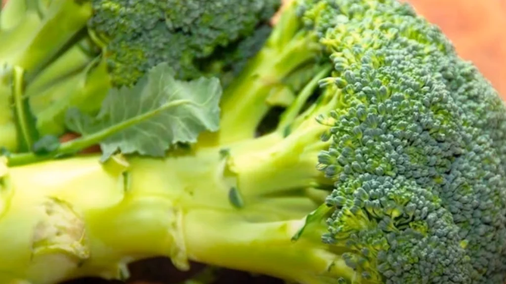 Dette er den korrekte måde at vaske broccoli på for at fjerne orme