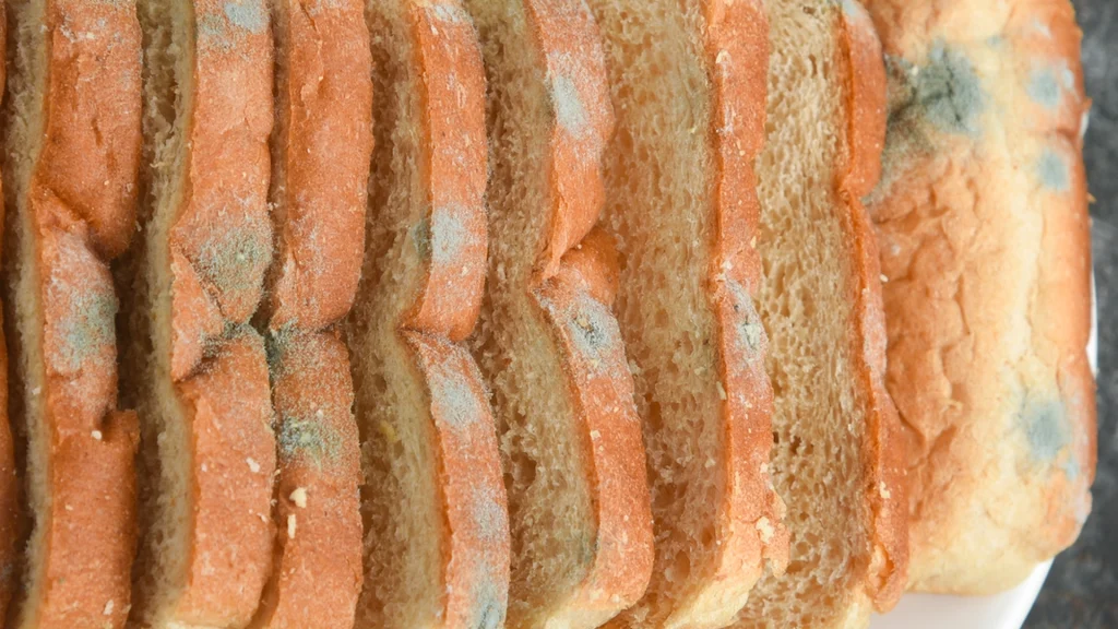 Hvorfor det er farligt at spise brød, selvom du fjerner mug: Her er, hvad det virkelig gør ved din krop