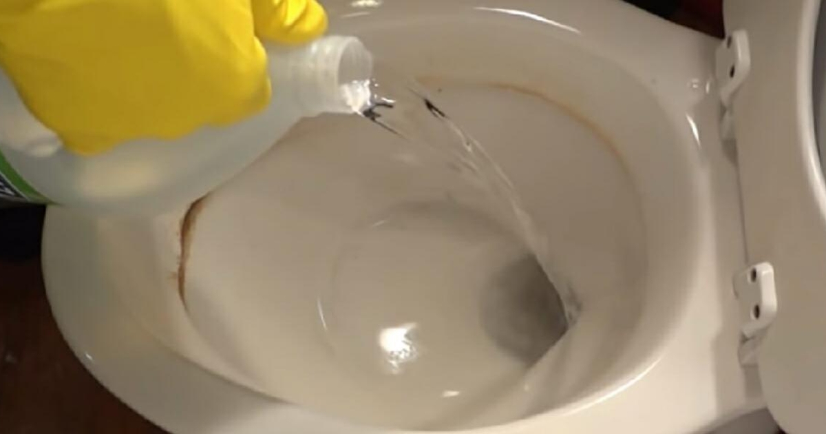 Han hælder eddike i toilettet inden han går i seng: Morgenen efter har han løst velkendt problem