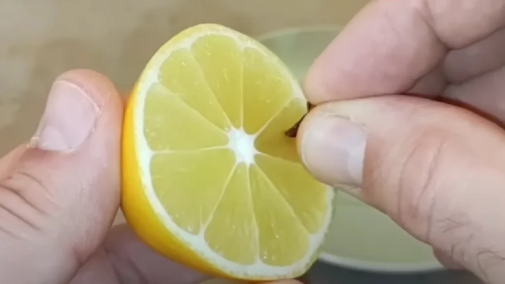 Citroner findes i stort set alle køkkener – vent til du blander det med dette og ser hvor det ellers er guld værd