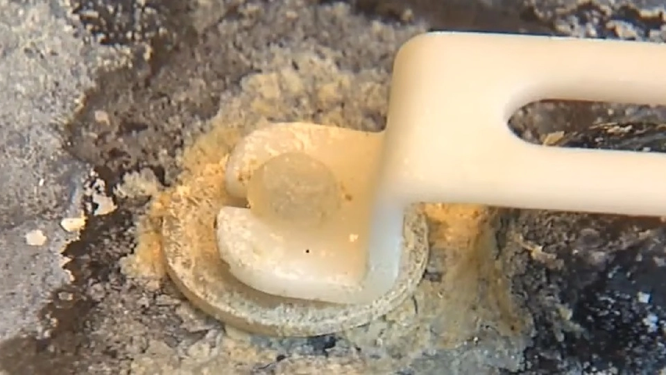 Stephanie fik det dårligt hver morgen: Da hun kiggede i sin kaffemaskine fandt hun årsagen