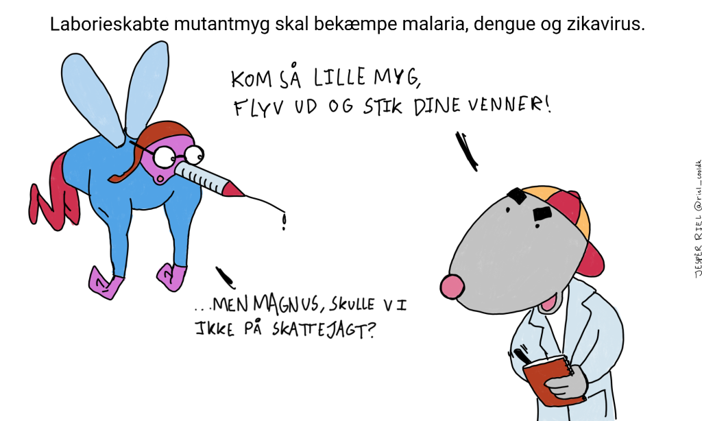 Laboratorieskabte myg skal bekæmpe malaria