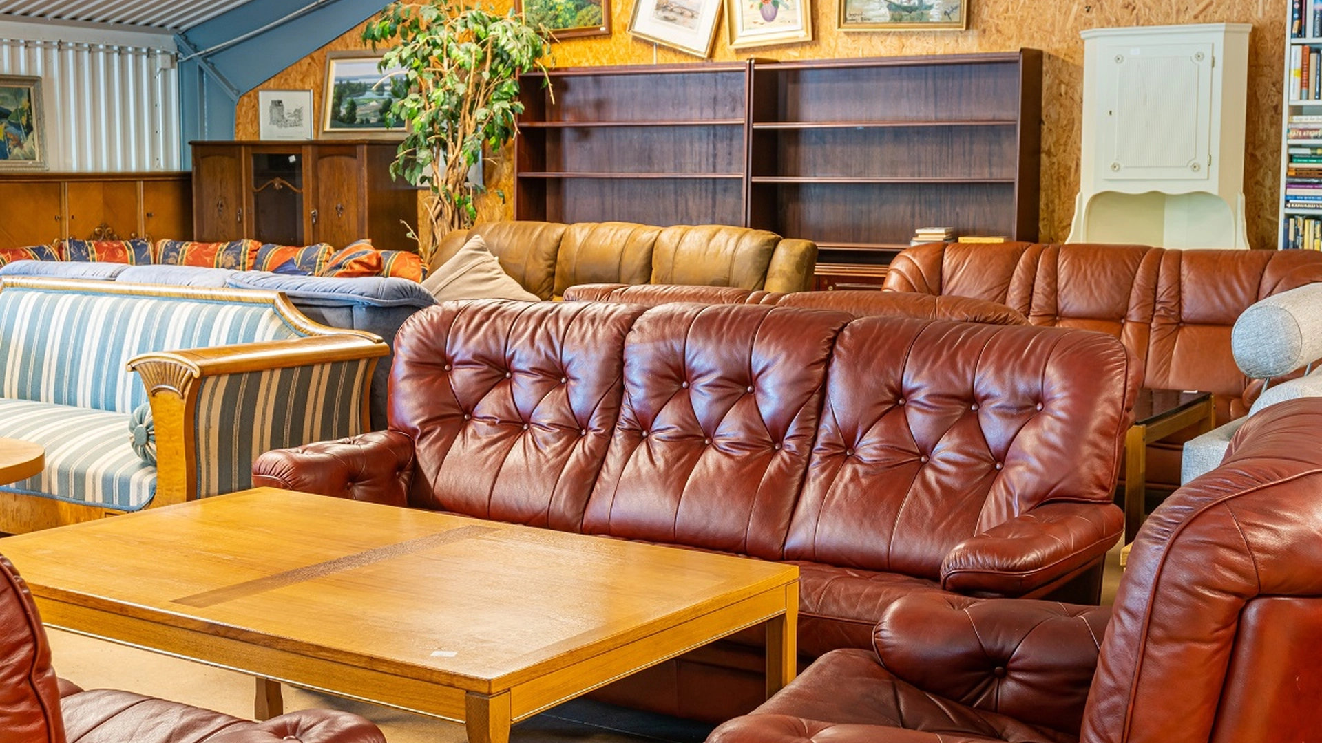 En genbrugsbutik gjorde et overraskende fund i møbler fra et dødsbo – de tabte kæben over fundet