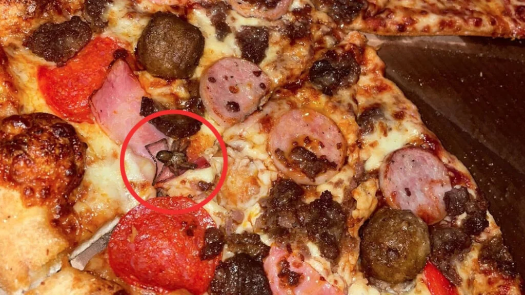 26-årig havde bestilt pizza fra Domino’s: Hun fik et kæmpe chok da hun åbnede bakken