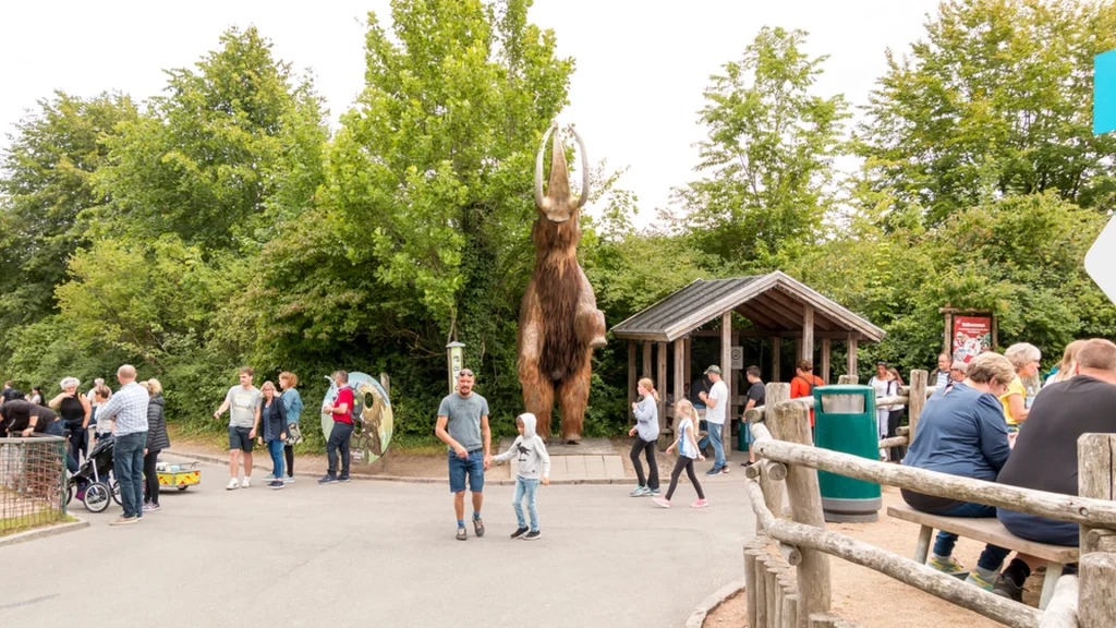 Aalborg Zoo deler video af nyt, lille vidunder: Flere ‘smelter’, når de ser den