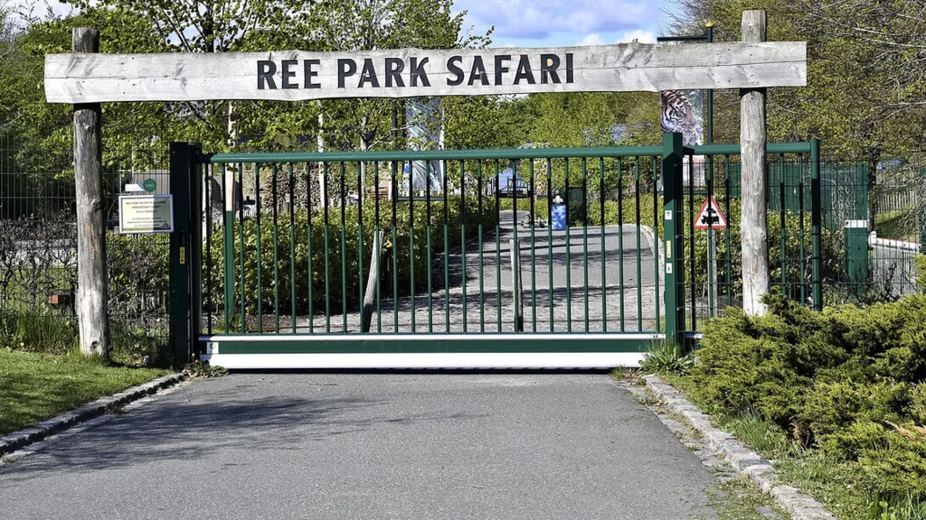 Efter trist besked: Nu deler Ree Park Safari glædelig nyhed