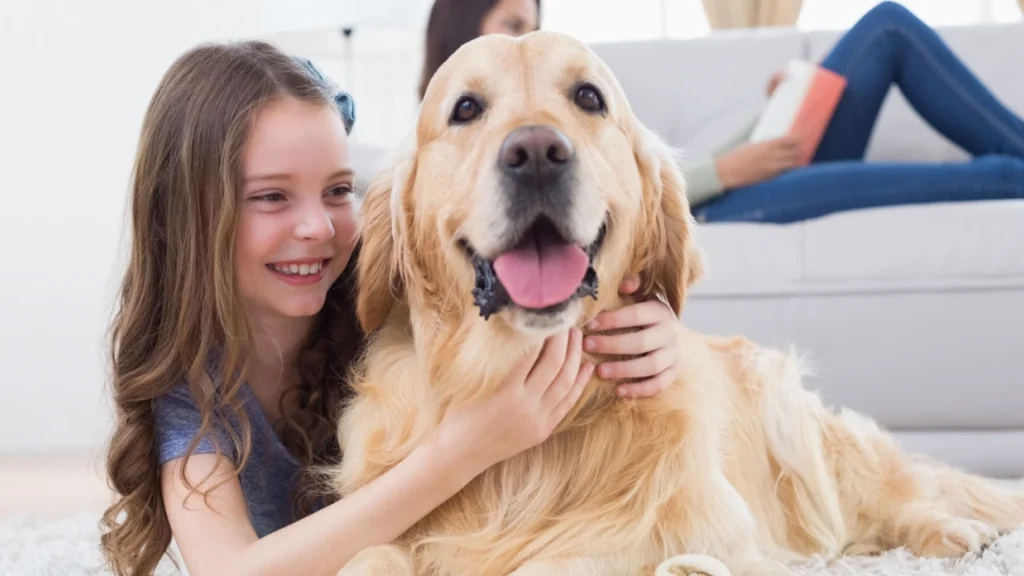 Mange har undret sig over det: Her er hvad hunden tænker, når du klapper den