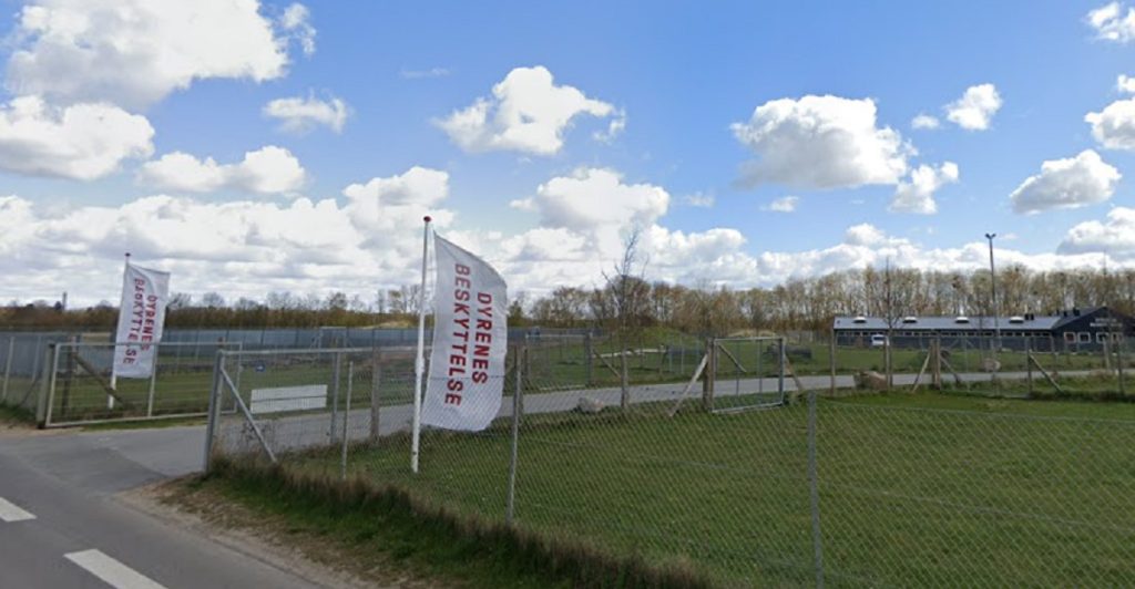 Kommer med opråb: Det er meget usædvanligt