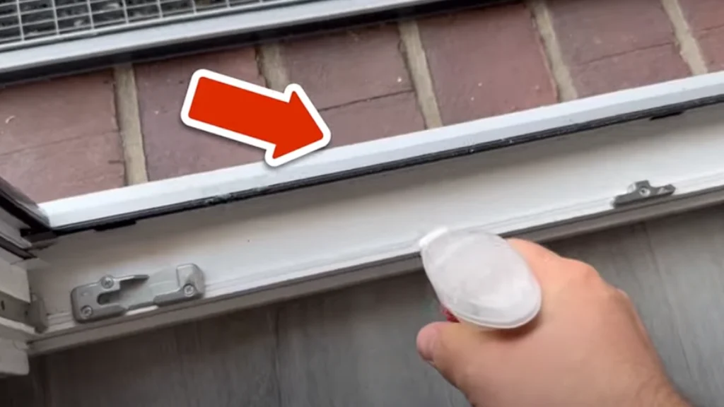 Hvis du hader edderkopper, skal du kende til dette trick: Sådan sikrer du dit hjem mod dem