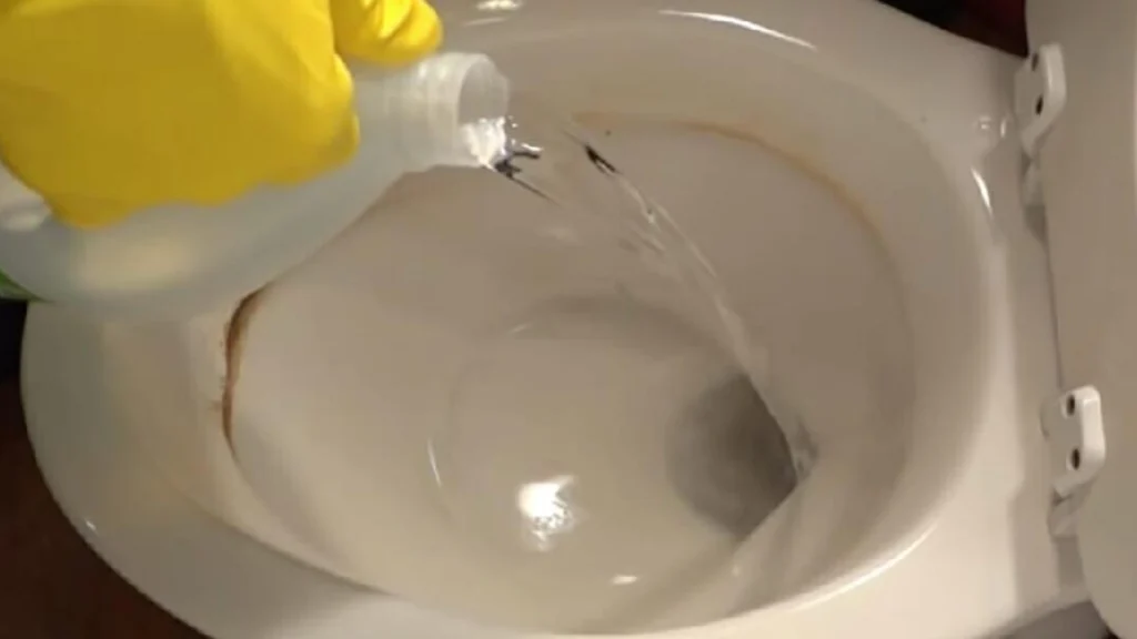 Derfor skal du hælde eddike i toilettet inden du går i seng